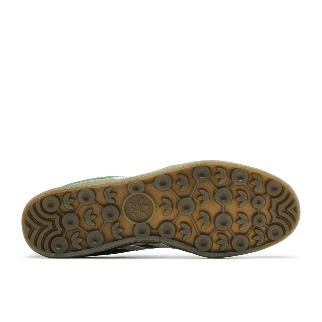 Gazelle Indoor 'El Yunque'